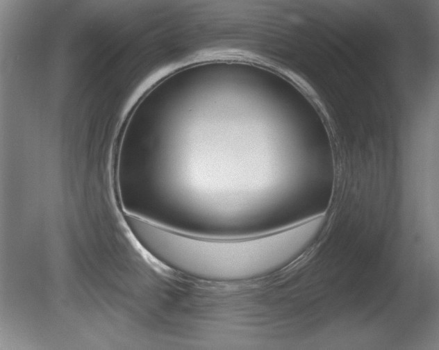 X0000081601438200701151042