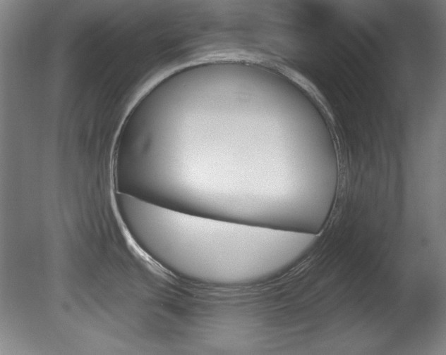 X0000081601439200701151042