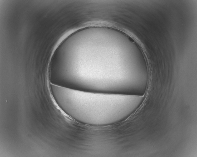 X0000081601440200701151042