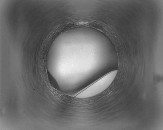 X0000081601441200701151041