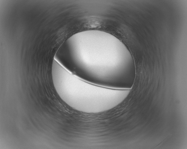 X0000081601442200701151041