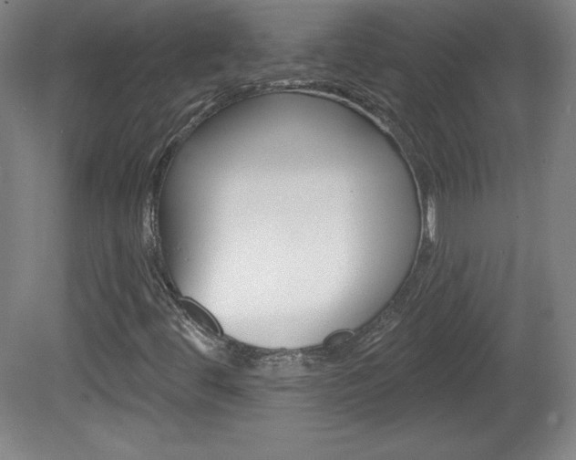 X0000081601444200701151041