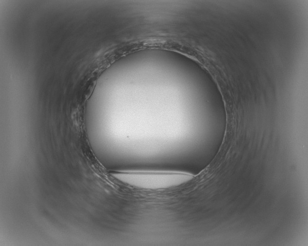 X0000081601445200701151041