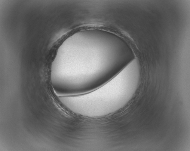 X0000081601448200701151041