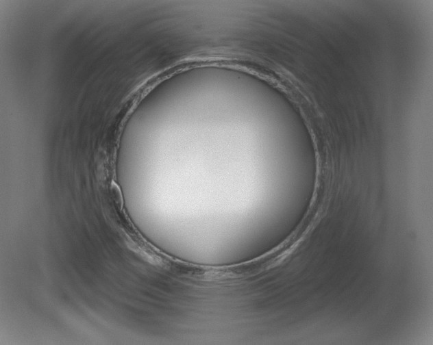 X0000081601449200701151041