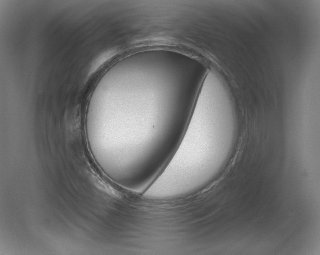 X0000081601450200701151041