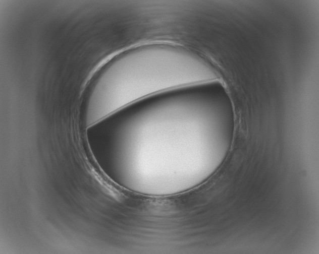 X0000081601452200701151041