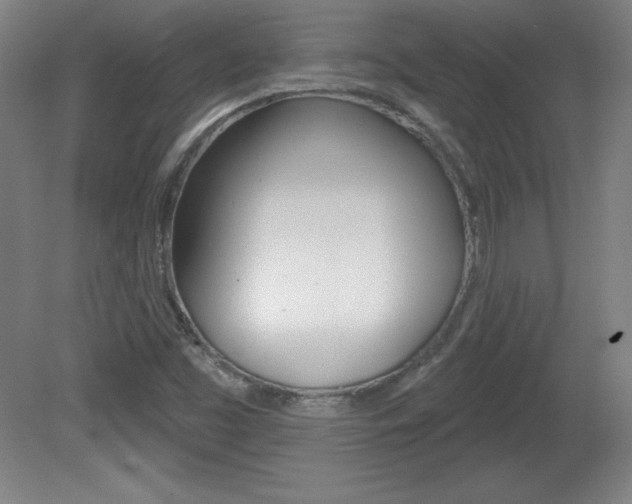 X0000081601453200701151041