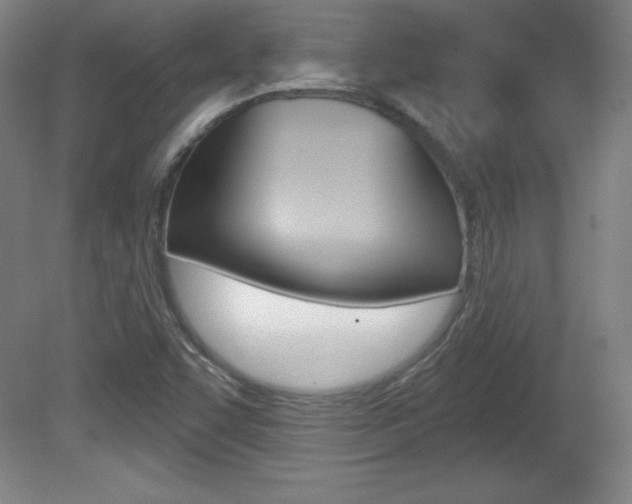 X0000081601455200701151041