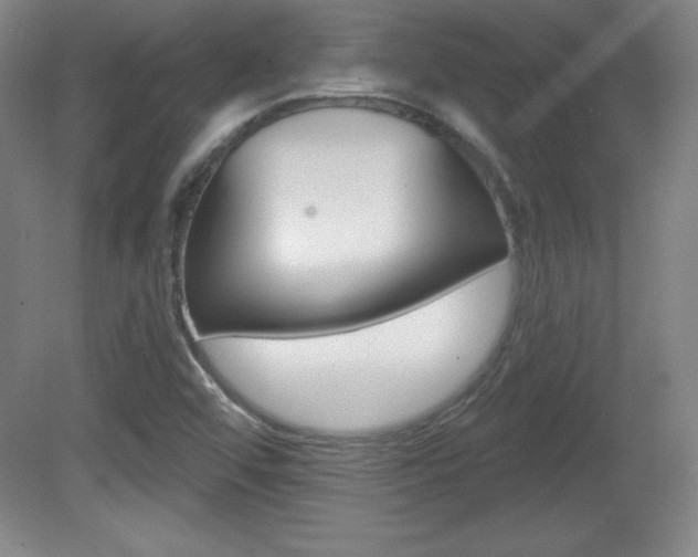 X0000081601456200701151041