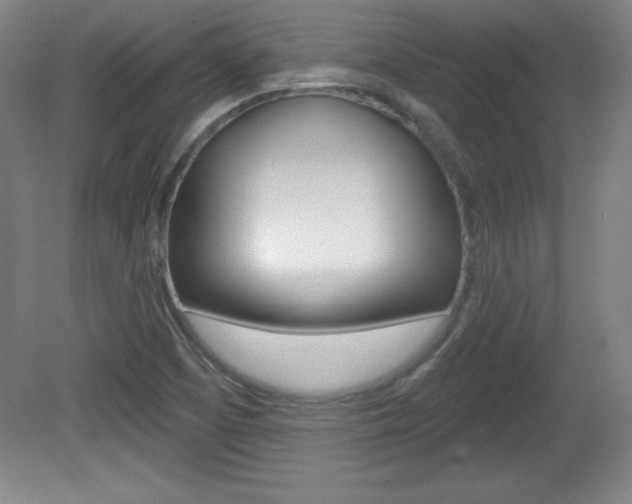 X0000081601457200701151041