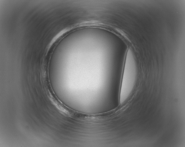X0000081601458200701151041