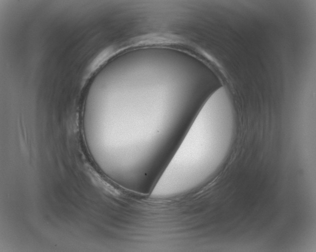 X0000081601459200701151041