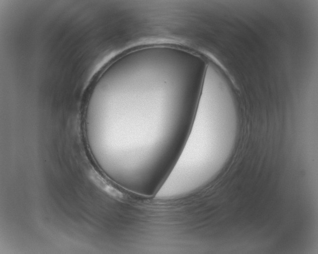 X0000081601460200701151041