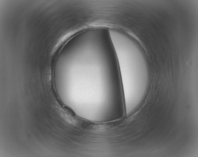 X0000081601461200701151041