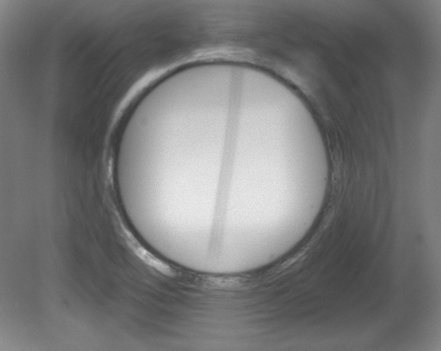 X0000081601462200701151041