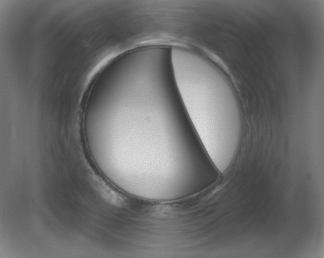X0000081601463200701151041