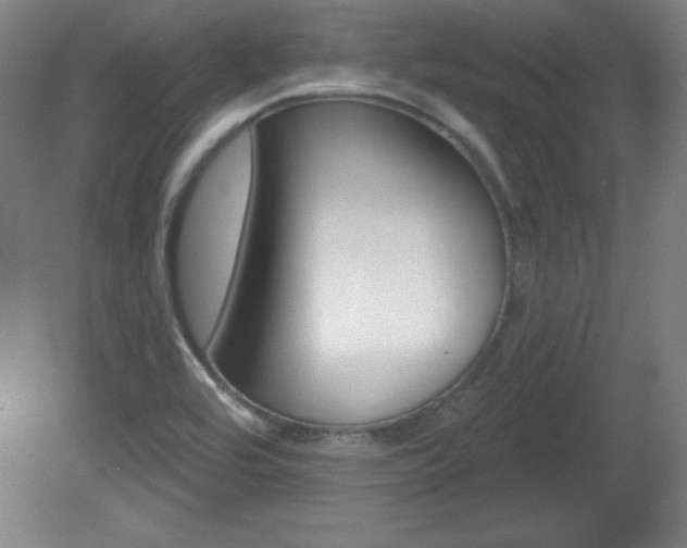 X0000081601464200701151041