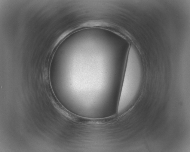X0000081601465200701151041