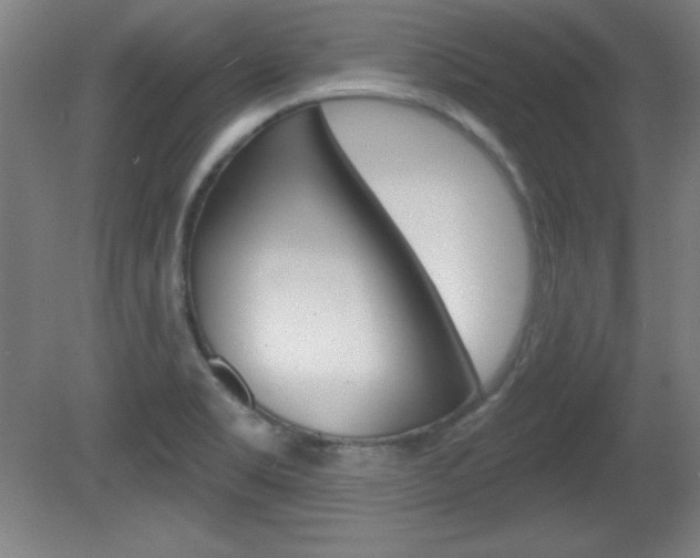 X0000081601469200701151041
