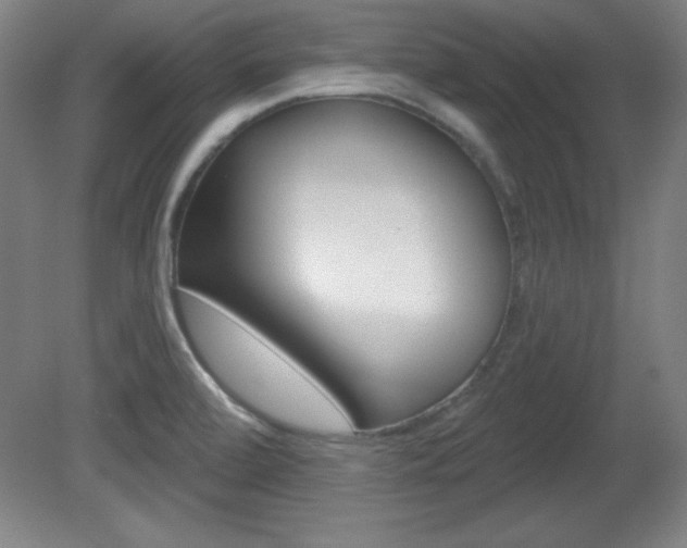X0000081601472200701151041