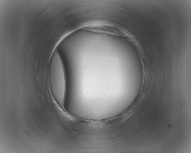X0000081601473200701151041