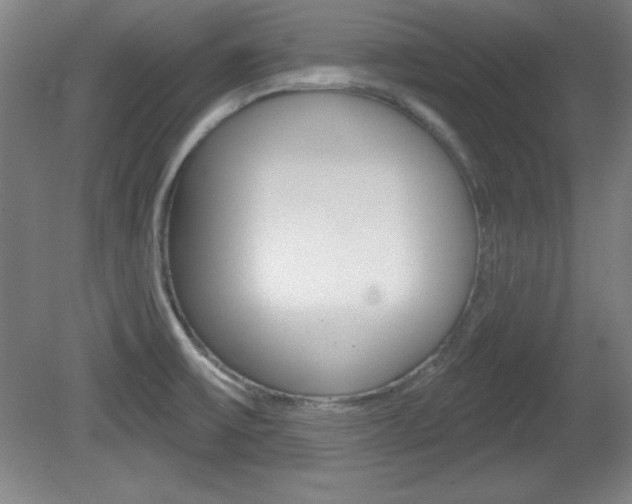 X0000081601475200701151041