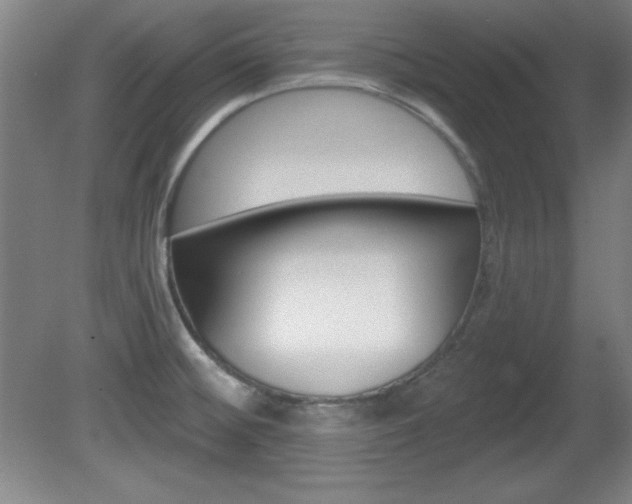 X0000081601476200701151041