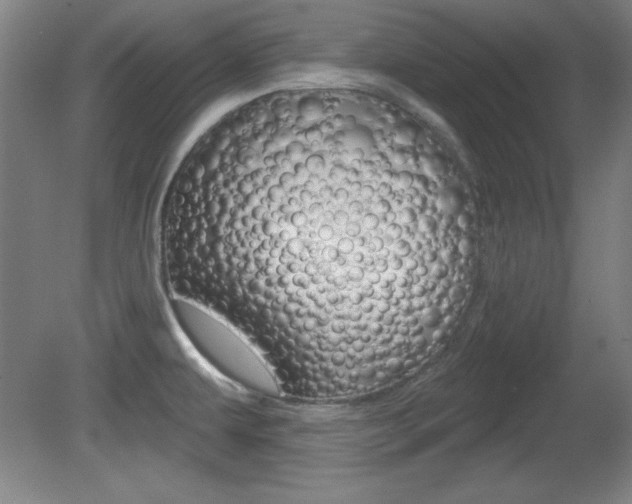 X0000081601479200701151041