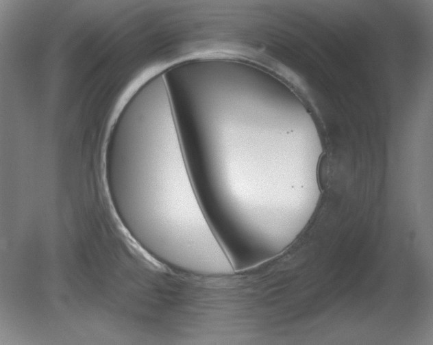 X0000081601480200701151041