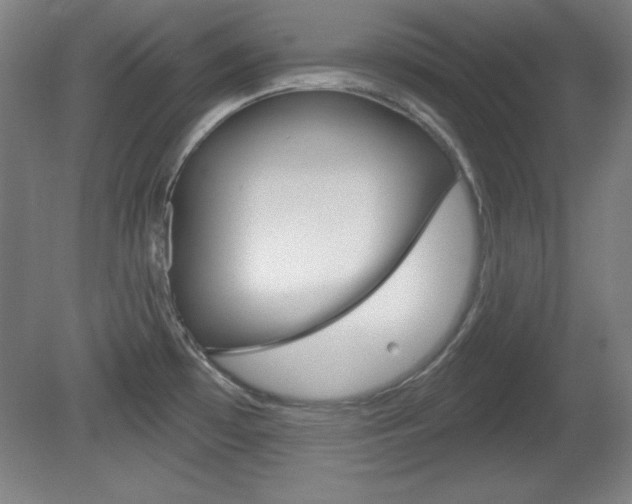 X0000081601481200701151041