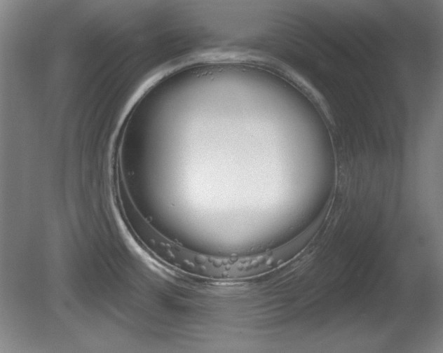 X0000081601483200701151041