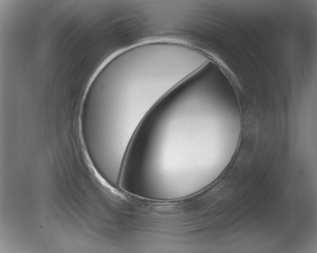 X0000081601484200701151041