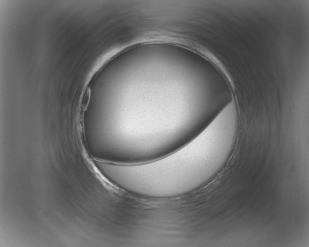 X0000081601485200701151041