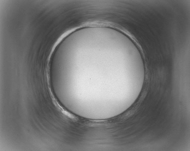 X0000081601486200701151041