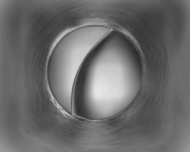 X0000081601488200701151040