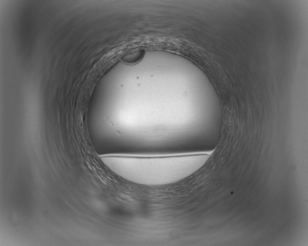 X0000081601489200701151040