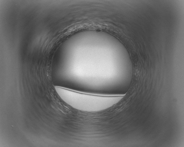 X0000081601490200701151040