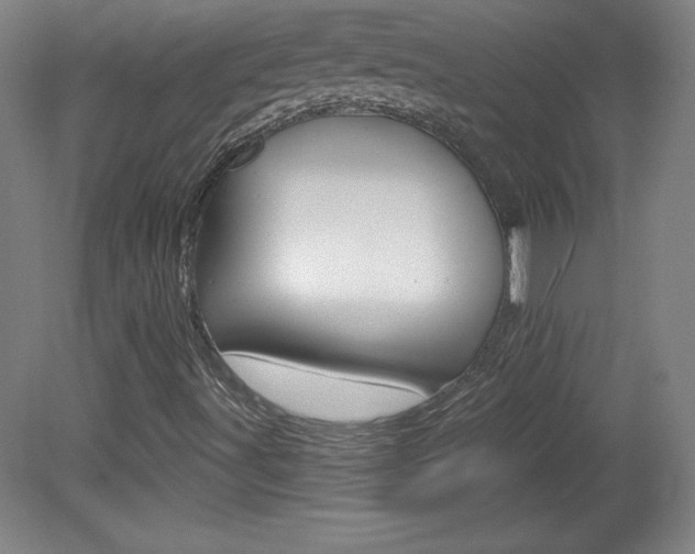 X0000081601491200701151040