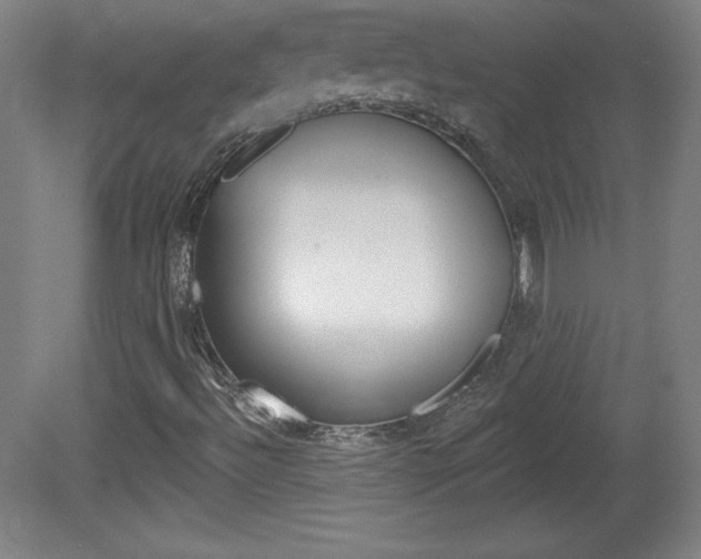 X0000081601492200701151040