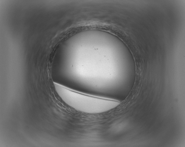 X0000081601493200701151040