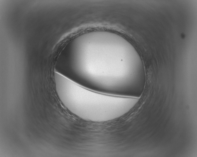 X0000081601494200701151040