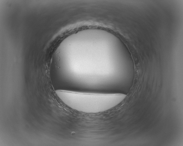 X0000081601495200701151040
