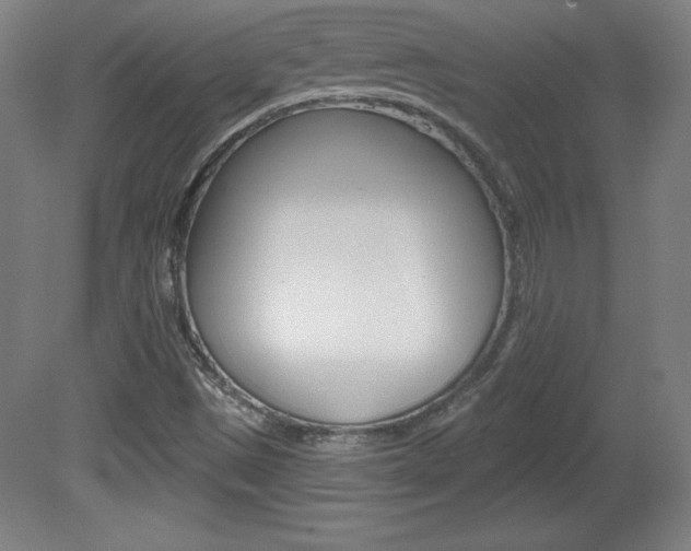 X0000081601497200701151040
