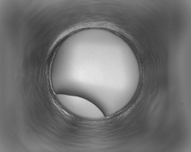 X0000081601498200701151040