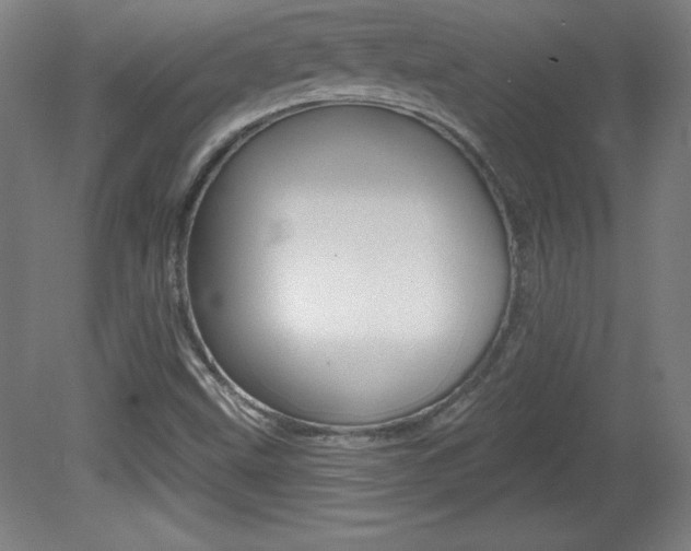 X0000081601499200701151040