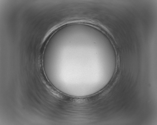 X0000081601501200701151040