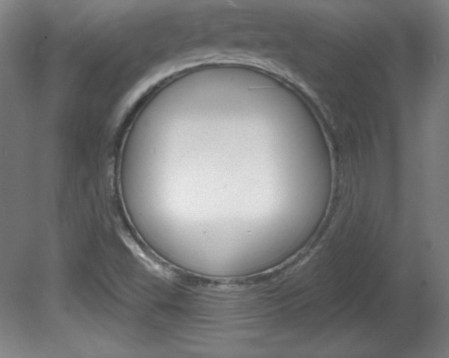 X0000081601503200701151040