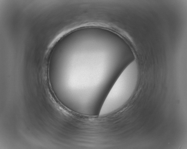 X0000081601504200701151040