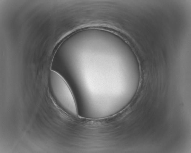 X0000081601505200701151040
